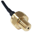 Available Low Cost Liquid Level Pressure Sensor 1MPa Cable Outlet